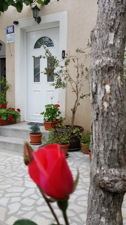 Hibiscus Guest House Budva Exteriér fotografie